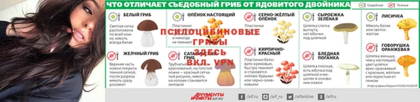героин Ладушкин