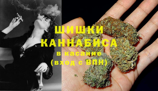 гидропоника Лагань