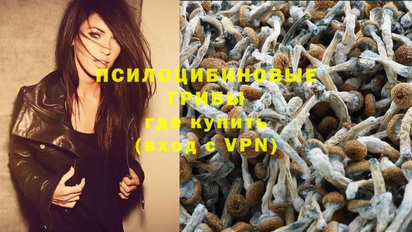 гидропоника Лагань