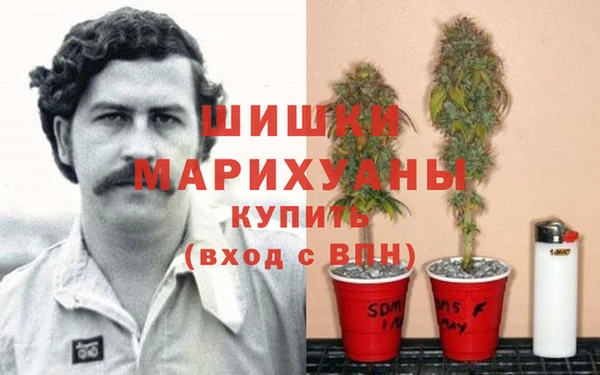 гидропоника Лагань
