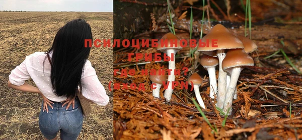 ешки Лиски