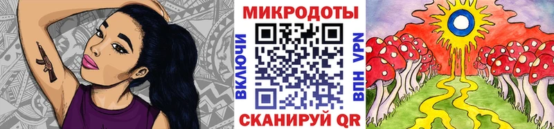 купить   Куса  Псилоцибиновые грибы мицелий 